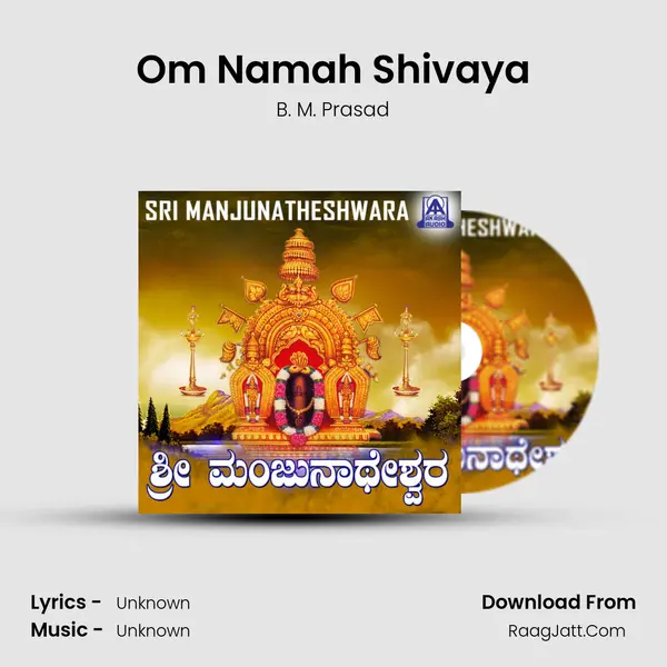 Om Namah Shivaya MP3 Song by B. M. Prasad Cover