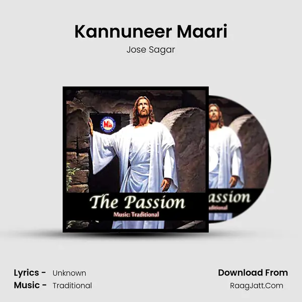 Kannuneer Maari MP3 Song by Jose Sagar Cover