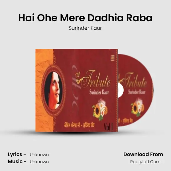 Hai Ohe Mere Dadhia Raba Cover