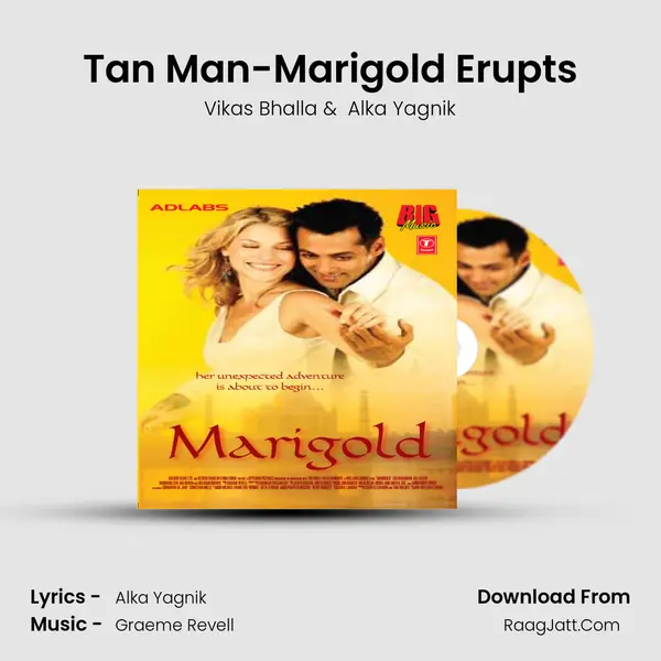 Tan Man-Marigold Erupts MP3 Song by Vikas Bhalla Cover