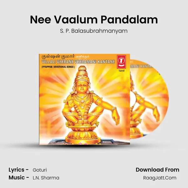 Nee Vaalum Pandalam MP3 Song by S. P. Balasubrahmanyam Cover