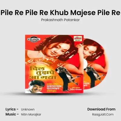 Pile Re Pile Re Khub Majese Pile Re MP3 Song by Prakashnath Patankar Cover