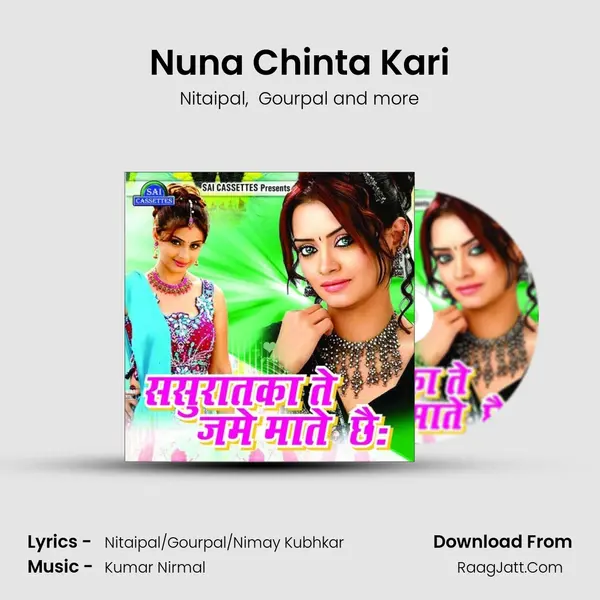 Nuna Chinta Kari MP3 Song by Nitaipal Cover