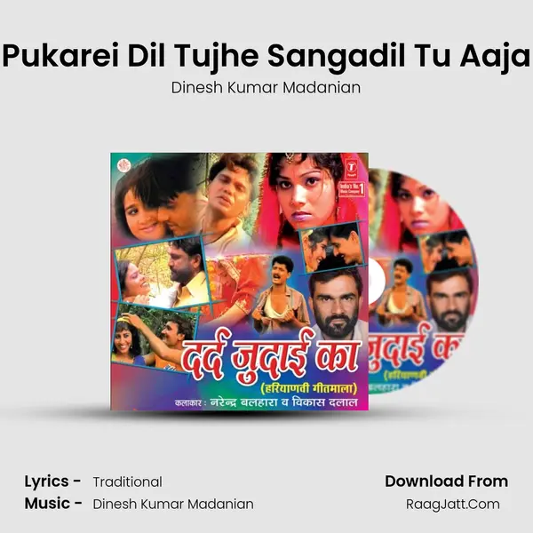 Pukarei Dil Tujhe Sangadil Tu Aaja MP3 Song by Dinesh Kumar Madanian Cover