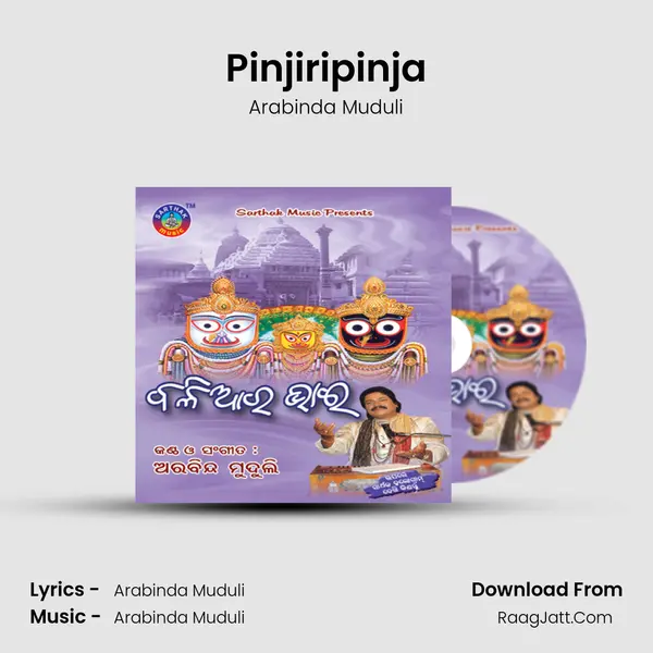 Pinjiripinja MP3 Song by Arabinda Muduli Cover