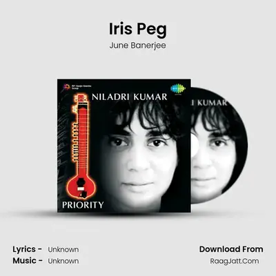 Priority - Niladri Kumar - June Banerjee