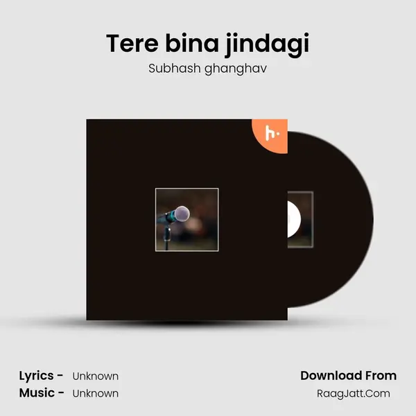 Tere bina jindagi MP3 Song by Subhash ghanghav Cover