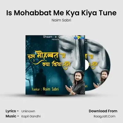 Is Mohabbat Me Kya Kiya Tune mp3 song