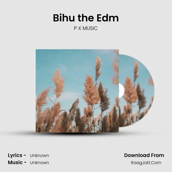 Bihu the Edm - P X MUSIC