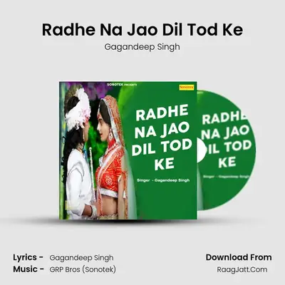 Radhe Na Jao Dil Tod Ke mp3 song