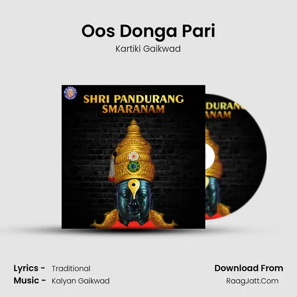 Oos Donga Pari Cover