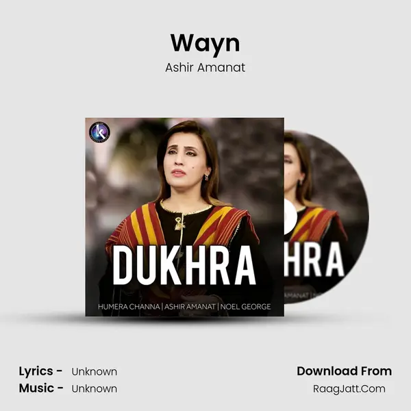 Wayn MP3 Song by Ashir Amanat Cover