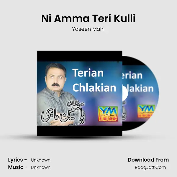 Ni Amma Teri Kulli mp3 song