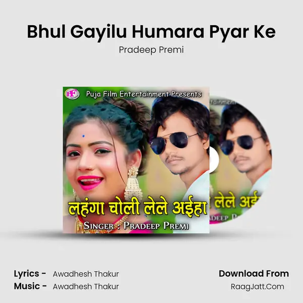 Bhul Gayilu Humara Pyar Ke Cover