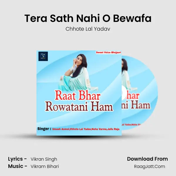 Tera Sath Nahi O Bewafa mp3 song