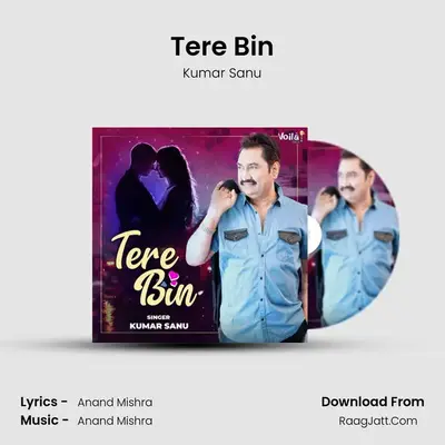 Tere Bin mp3 song