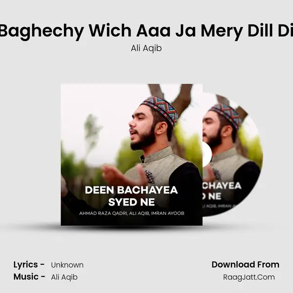 Dill Day Baghechy Wich Aaa Ja Mery Dill Dia Janya MP3 Song by Ali Aqib Cover