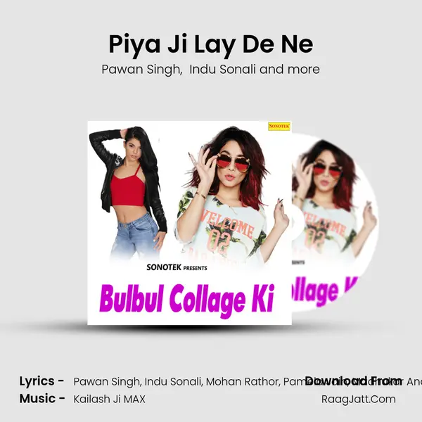 Piya Ji Lay De Ne Cover