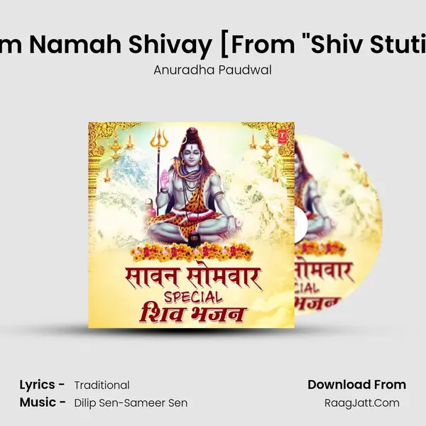 Om Namah Shivay(Dhun) [From "Shiv Stuti"] Cover