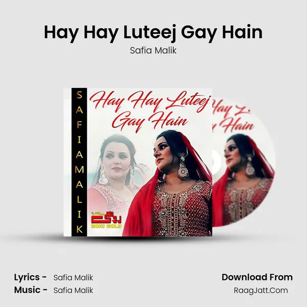Hay Hay Luteej Gay Hain mp3 song