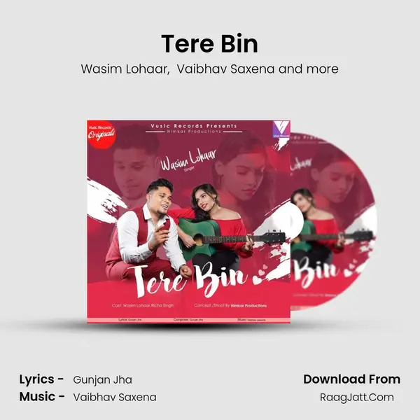 Tere Bin MP3 Song by Wasim Lohaar Cover
