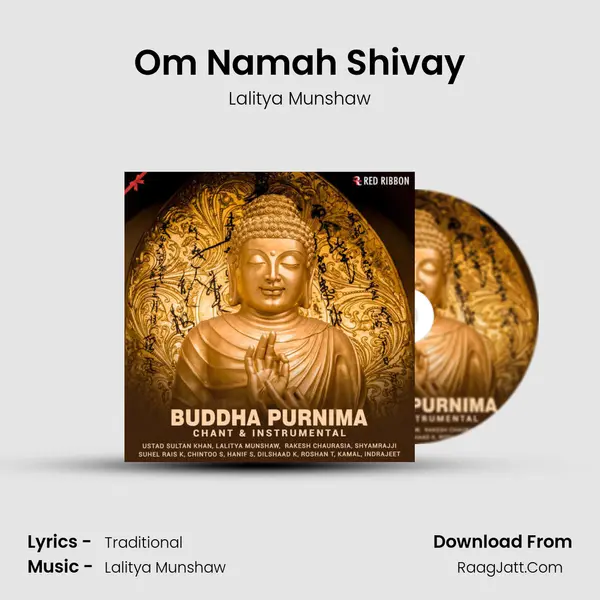 Om Namah Shivay Cover