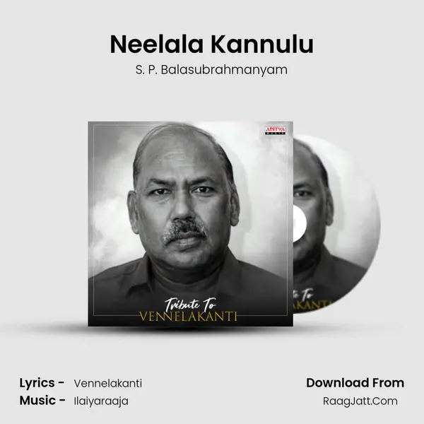 Neelala Kannulu Cover