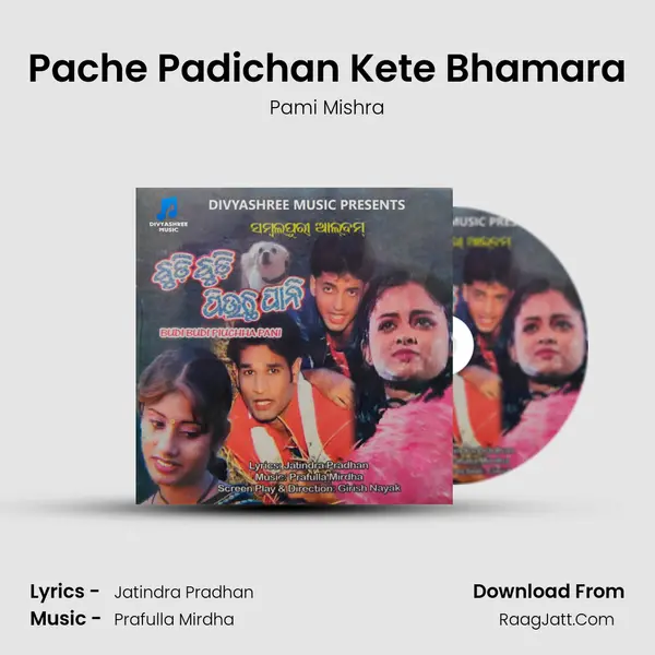 Pache Padichan Kete Bhamara MP3 Song by Pami Mishra Cover