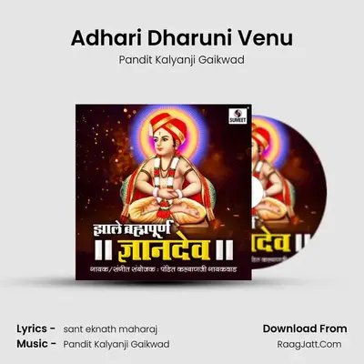Adhari Dharuni Venu MP3 Song by Pandit Kalyanji Gaikwad Cover