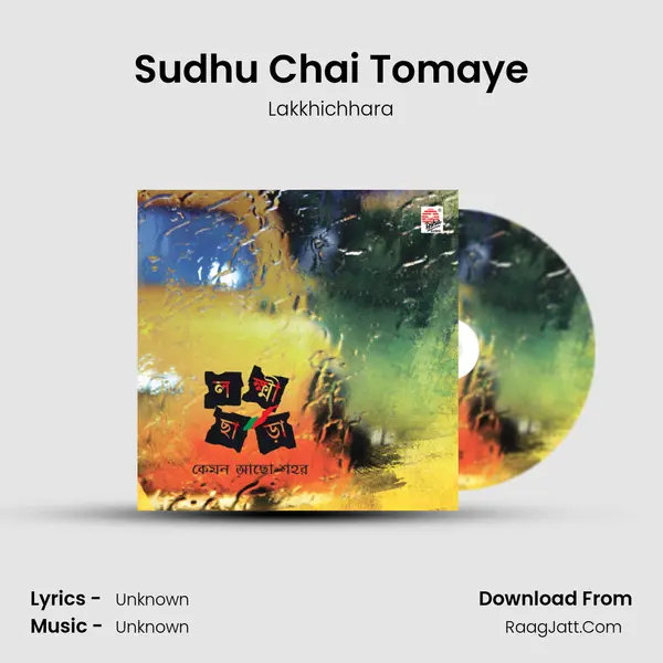 Sudhu Chai Tomaye mp3 song