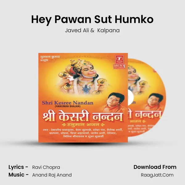 Hey Pawan Sut Humko MP3 Song by Javed Ali Cover