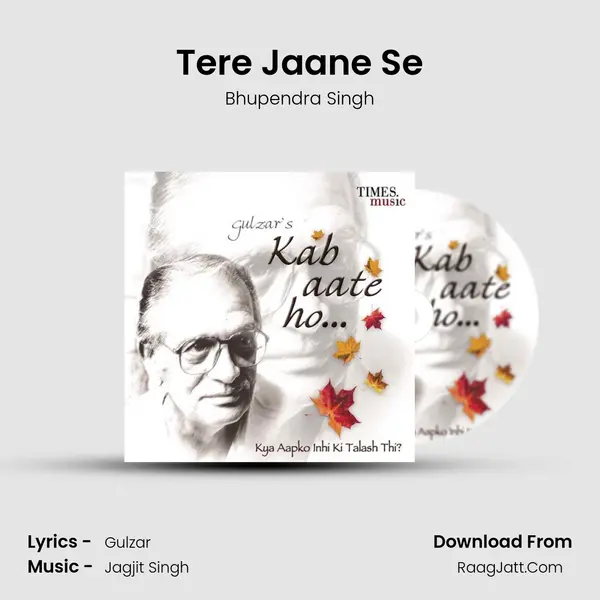 Tere Jaane Se MP3 Song by Bhupendra Singh Cover