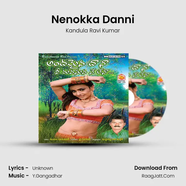 Nenokka Danni MP3 Song by Kandula Ravi Kumar Cover