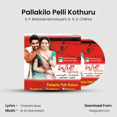 Pallakilo Pelli Kothuru MP3 Song by S. P. Balasubrahmanyam Cover