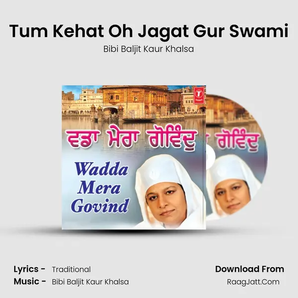 Tum Kehat Oh Jagat Gur Swami MP3 Song by Bibi Baljit Kaur Khalsa Cover