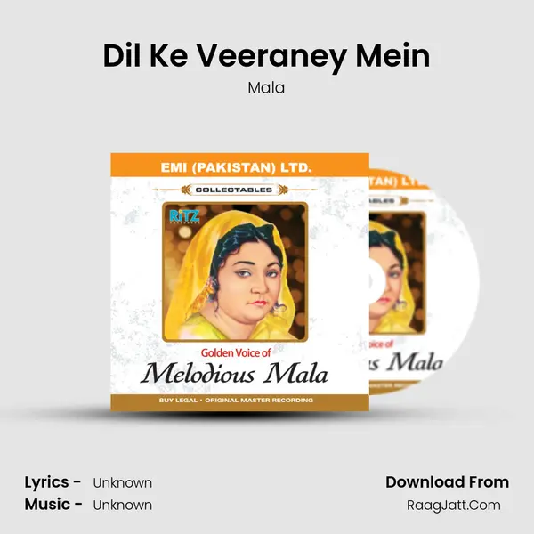 Dil Ke Veeraney Mein MP3 Song by Mala Cover