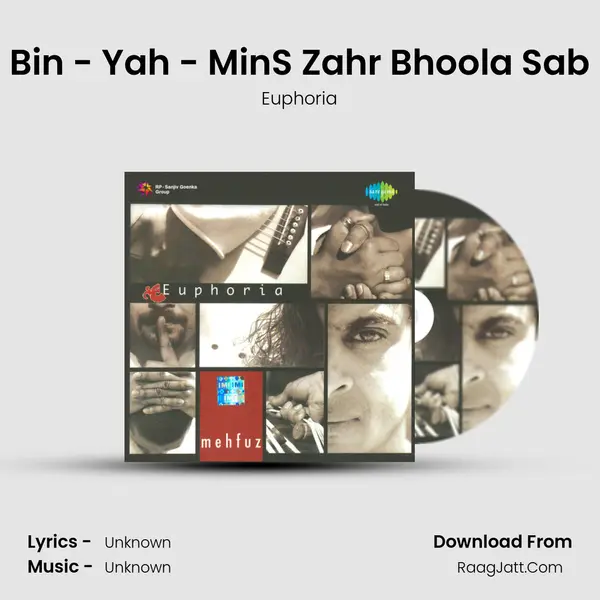 Bin - Yah - MinS Zahr Bhoola Sab MP3 Song by Euphoria Cover