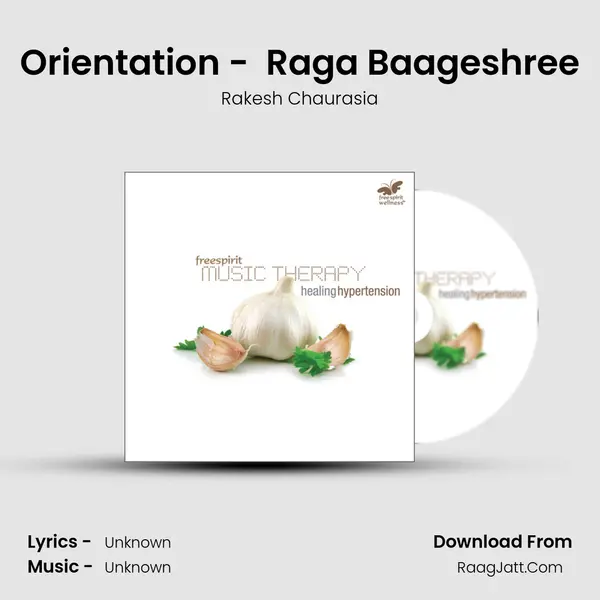 Orientation - (Based on) Raga Baageshree MP3 Song by Rakesh Chaurasia Cover