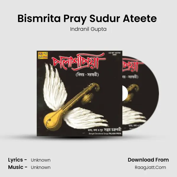 Bismrita Pray Sudur Ateete (Narration) MP3 Song by Indranil Gupta Cover