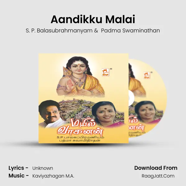 Aandikku Malai MP3 Song by S. P. Balasubrahmanyam Cover
