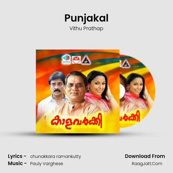 Punjakal MP3 Song by Vithu Prathap Cover