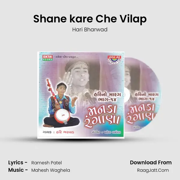 Shane kare Che Vilap MP3 Song by Hari Bharwad Cover