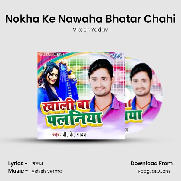 Nokha Ke Nawaha Bhatar Chahi MP3 Song by Vikash Yadav Cover
