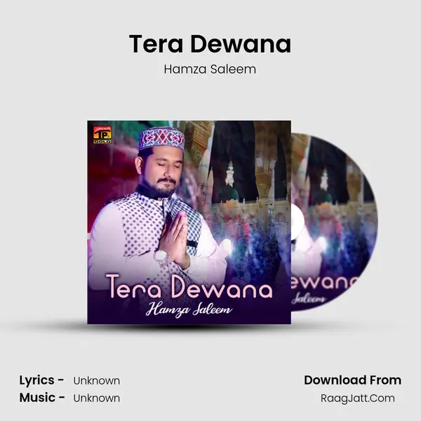 Tera Dewana - Single - Hamza Saleem