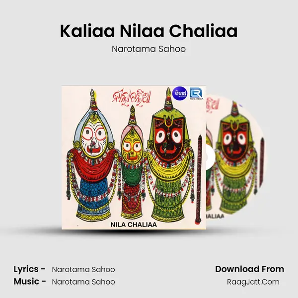 Kaliaa Nilaa Chaliaa MP3 Song by Narotama Sahoo Cover
