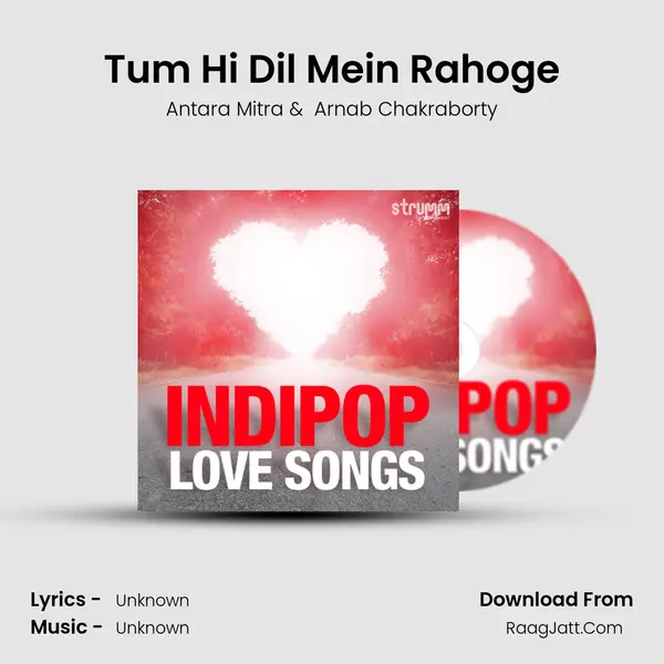 Tum Hi Dil Mein Rahoge Cover