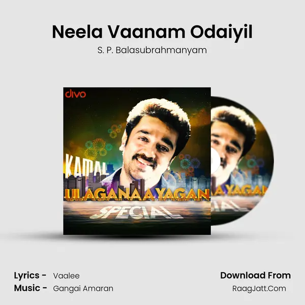 Neela Vaanam Odaiyil Cover