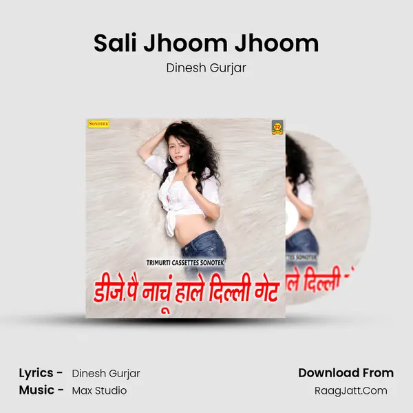 Sali Jhoom Jhoom MP3 Song by Dinesh Gurjar Cover