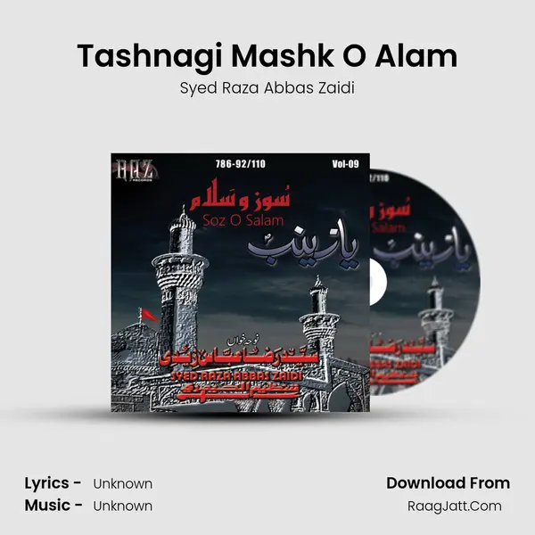 Tashnagi Mashk O Alam MP3 Song by Syed Raza Abbas Zaidi Cover