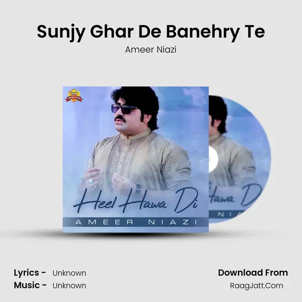 Sunjy Ghar De Banehry Te MP3 Song by Ameer Niazi Cover